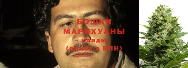 МДПВ Бикин
