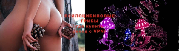 шишки Волосово