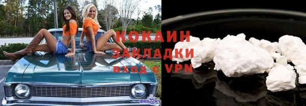 шишки Володарск